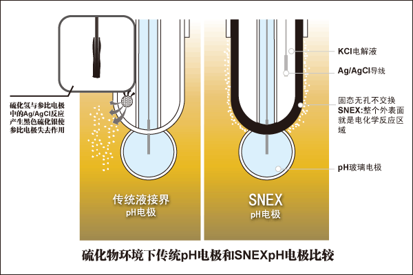 ͻƺpH  CLEAN SNEX CS1068SCS1568SCS1668SCS1768SCS1778S pHϵ缫